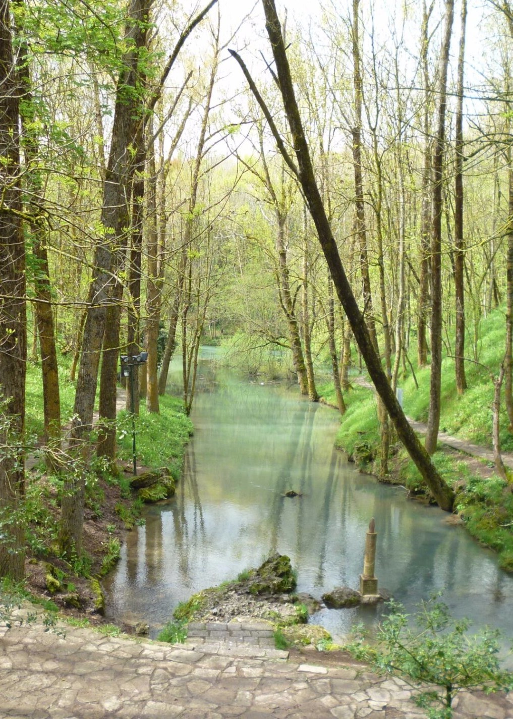 fontibre