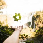 turismo ecológico