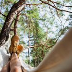 experiencia del huésped en entorno natural